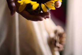 anillos de boda en girasol