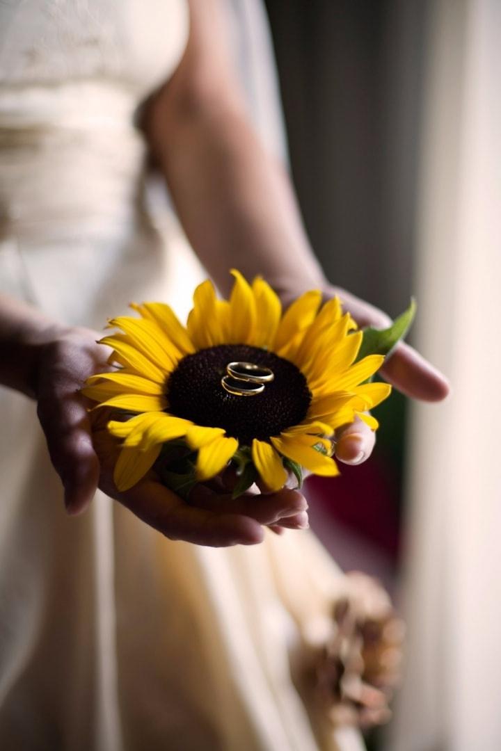 anillos de boda en girasol