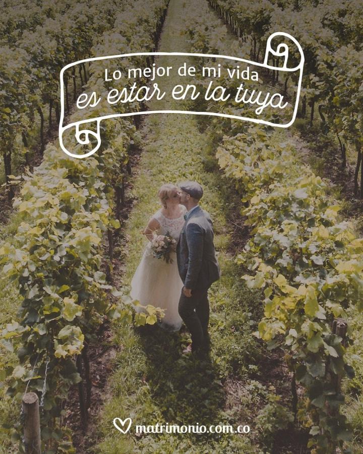 frases de parejas exitosas