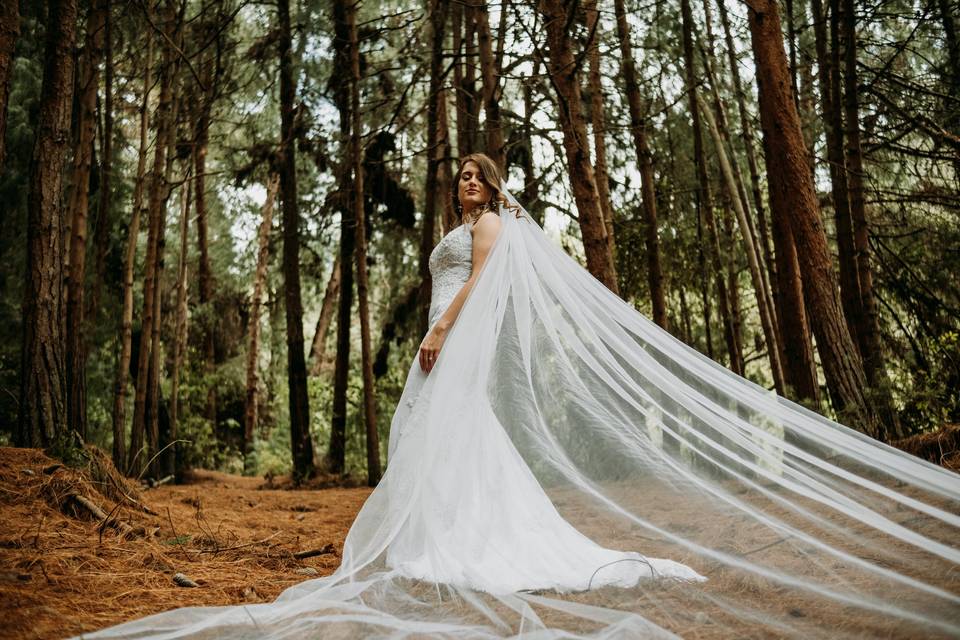 Novia con velo en sesión de fotos en el bosque