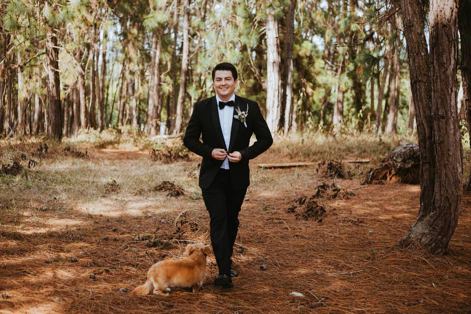 novio con traje negro con corbatín en boda de día en el bosque