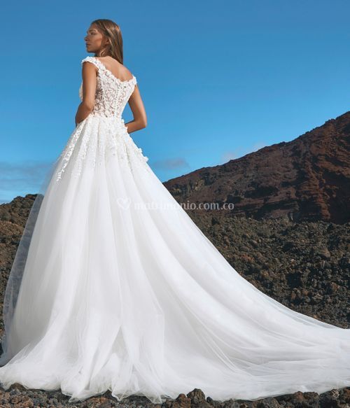 JEITA, Pronovias