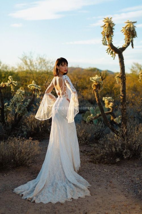 F231, Allure Bridals