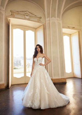 Dixie, Randy Fenoli