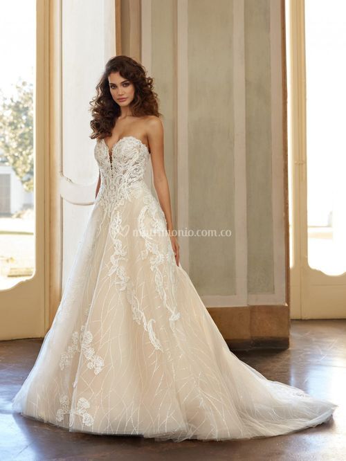 Dixie, Randy Fenoli