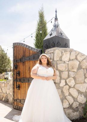 7503PS, Stella York