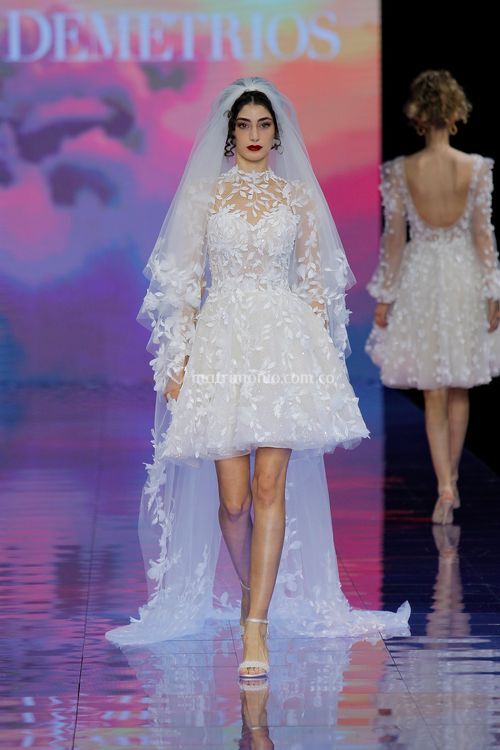 D 22, Demetrios