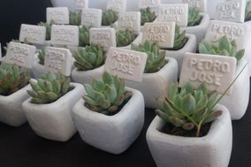 Plantea Recordatorios