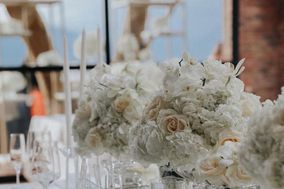 Wink Eventos