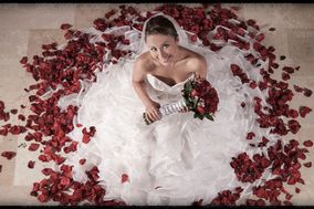 Graphic Print Fotografía