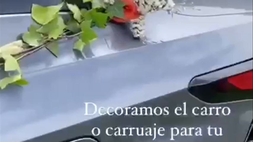 Decoración Carro