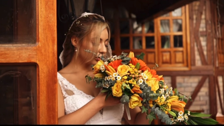 Boda Alegría 