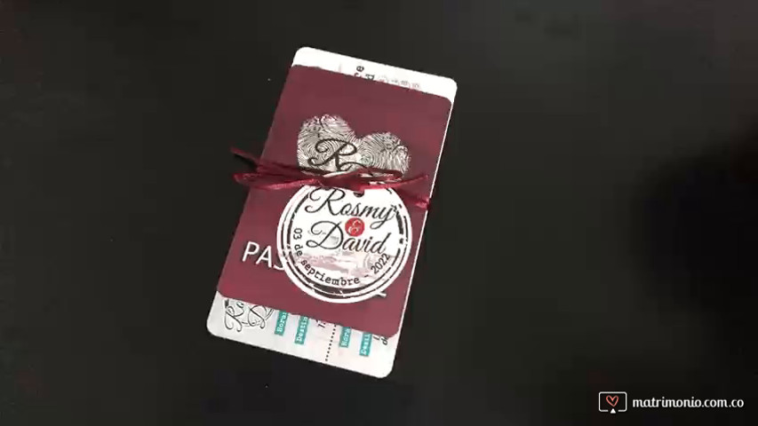 Pasaporte de amor