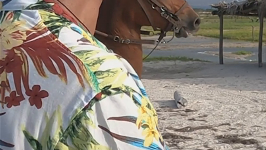 Cabalgata en la playa