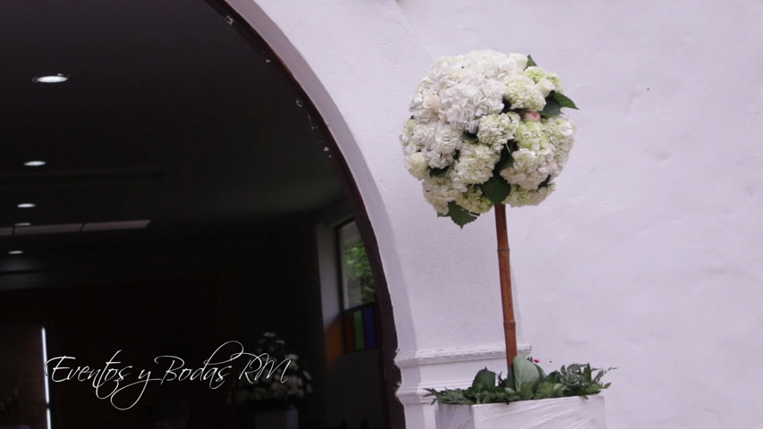 Boda campestre de Paola y Carlos 