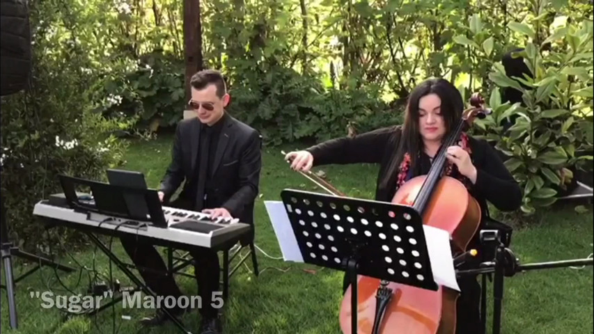 Violonchelo y piano, ceremonia civil