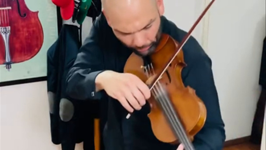 W.A Mozart Eine kleine Nachtmusik 