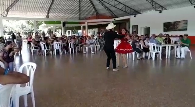 Animación baile