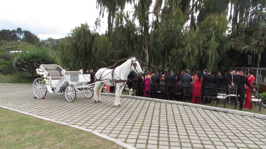 Servicio de carruaje