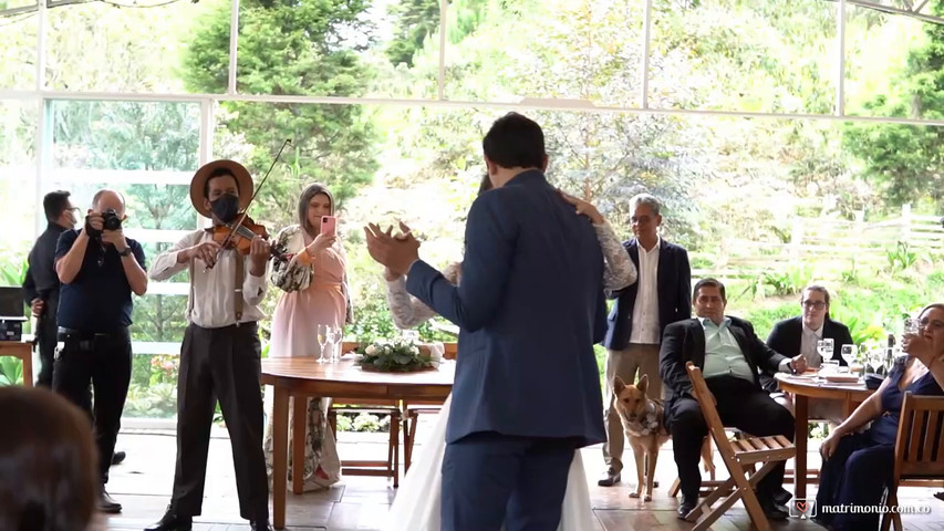 Bodas con Alex Violín Show