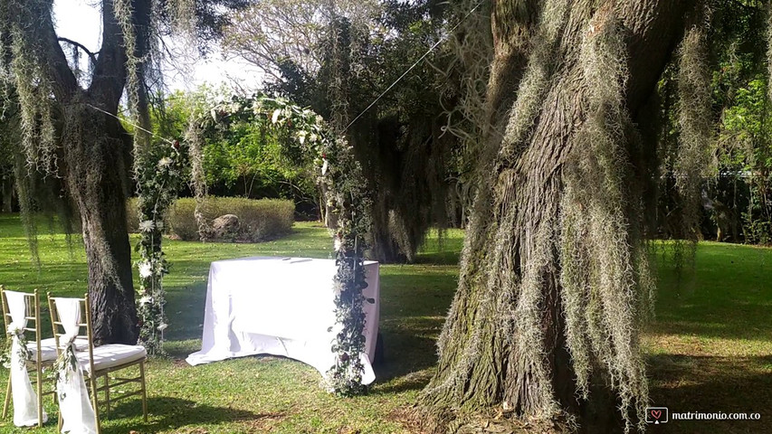 Llegada y preparativos para una hermosa boda