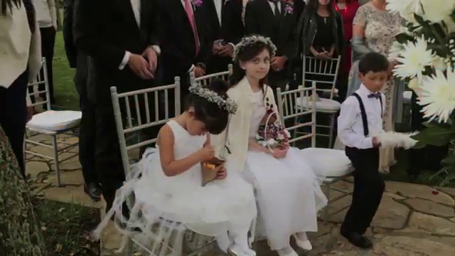 Tu Boda Perfecta
