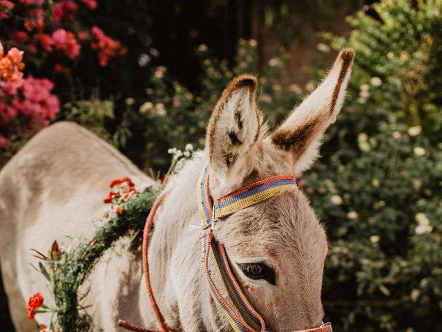 El matrimonio de Daniel y Charlotte en Villa de Leyva, Boyacá 66