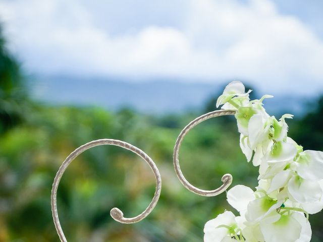 El matrimonio de Camilo y Amanda en Anapoima, Cundinamarca 5