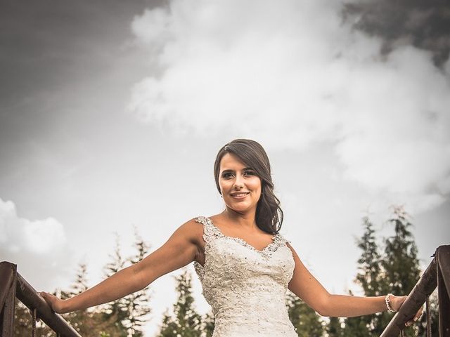 El matrimonio de Andrés y Ana María en Bogotá, Bogotá DC 19