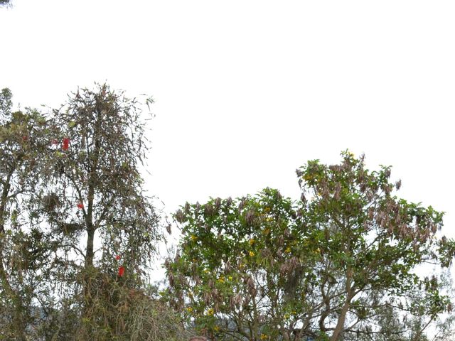 El matrimonio de Mauricio y Nancy en Sogamoso, Boyacá 4