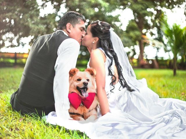 El matrimonio de Alberto y Fernanda en Cali, Valle del Cauca 2