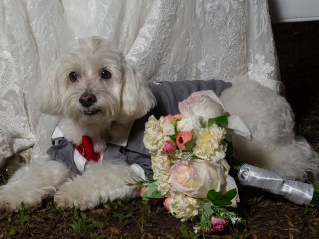 El matrimonio de Vanessa y Enrique en Cali, Valle del Cauca 35