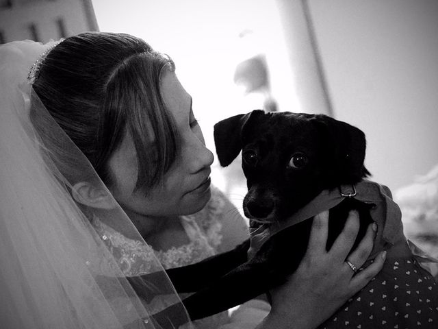 El matrimonio de Carlos y Laura en Cali, Valle del Cauca 5