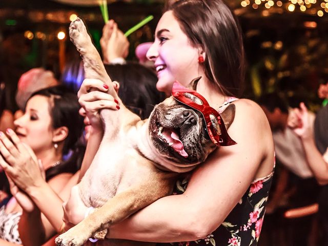El matrimonio de Lucas y Mercedes en Medellín, Antioquia 15