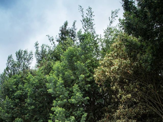 El matrimonio de Daniel y Camila en Sopó, Cundinamarca 71