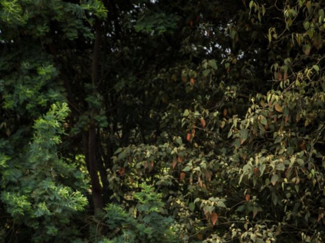 El matrimonio de Daniel y Camila en Sopó, Cundinamarca 73