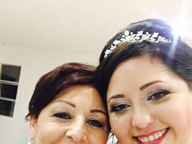 El matrimonio de Ivan y Sonia en Chía, Cundinamarca 2