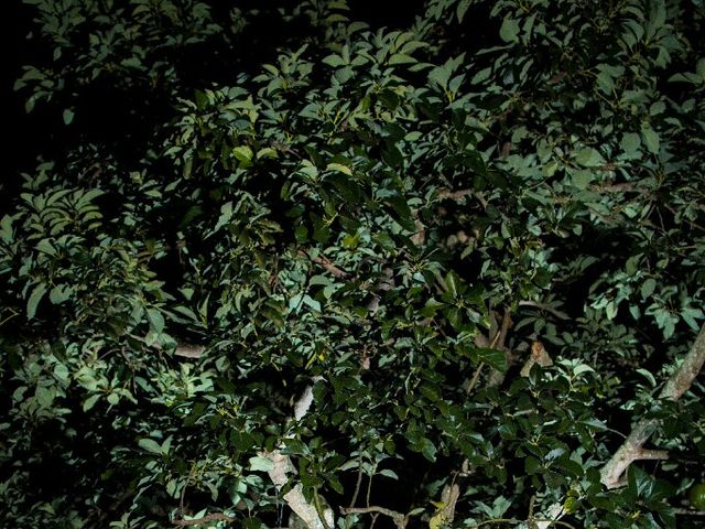 El matrimonio de Diego Fernando y Marinella en Tuluá, Valle del Cauca 54