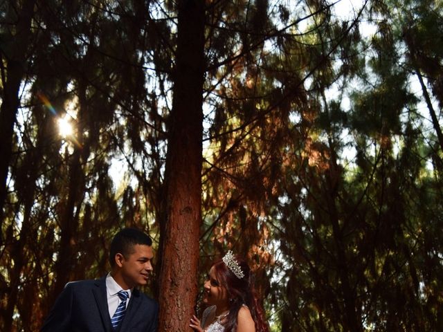 El matrimonio de Sebastián  y Silvia  en Tuluá, Valle del Cauca 26
