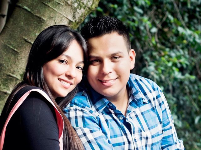 El matrimonio de Luis Fernando y Yerly en Cali, Valle del Cauca 3