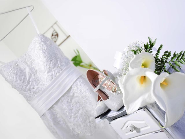 El matrimonio de Juan Guillermo y Jessenia en Medellín, Antioquia 2