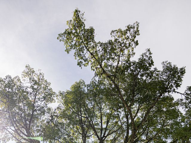El matrimonio de Mateo y Daniela en Pereira, Risaralda 28