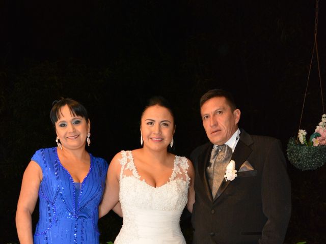 El matrimonio de Alejandro  y Viviana  en Bogotá, Bogotá DC 16
