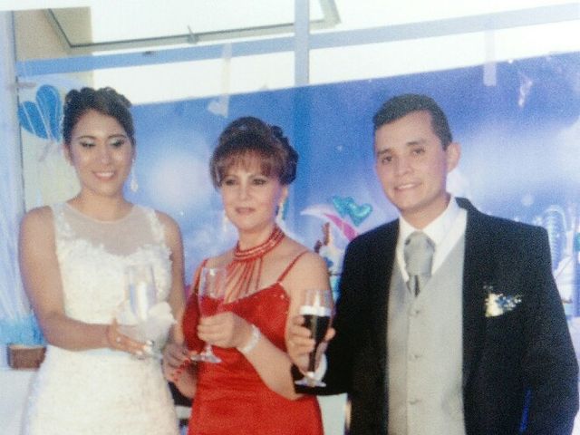 El matrimonio de Carlos  y Yesenia  en Bogotá, Bogotá DC 28