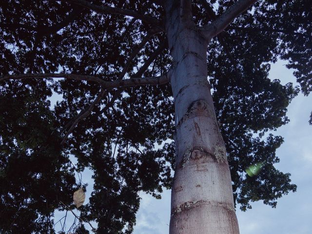 El matrimonio de Wilmar y Karent en Fusagasugá, Cundinamarca 75