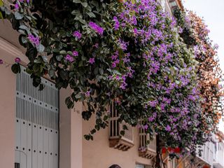 El matrimonio de Yulieth Mendoza y Gustavo Osorio 1