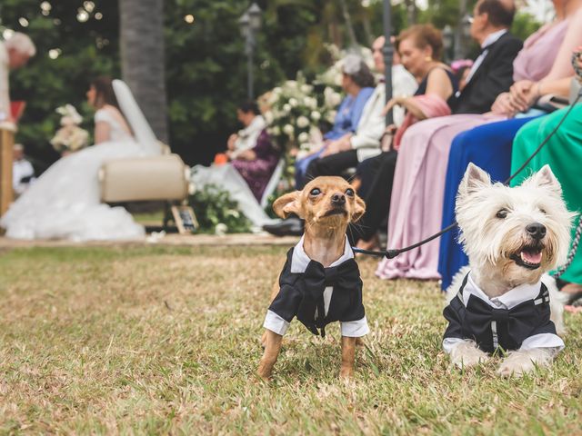 El matrimonio de Diego y Angela en Cali, Valle del Cauca 14