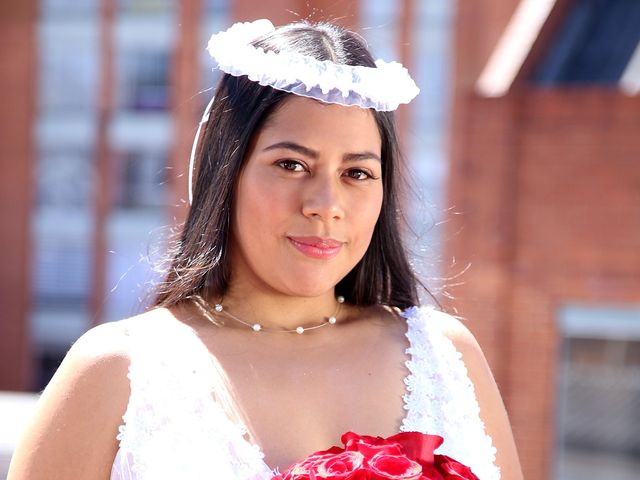 El matrimonio de Mario y Laura en Bogotá, Bogotá DC 12