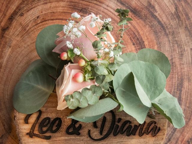 El matrimonio de Diana y Leonardo en Bogotá, Bogotá DC 3