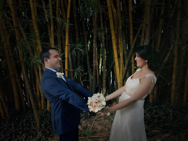 El matrimonio de Alexis y Erica en Bucaramanga, Santander 9